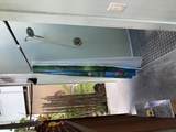 12-7033 Moaniala St - Photo 21