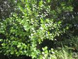  Amau Rd - Photo 1