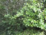  Amau Rd - Photo 2