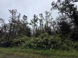 Ohia Ave - Photo 6