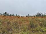  Ohialani Rd - Photo 5