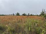  Ohialani Rd - Photo 10