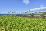 68-1050 Mauna Lani Point Drive - Photo 2