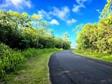  Pohoiki Kalapana Rd - Photo 13