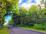  Pohoiki Kalapana Rd - Photo 15