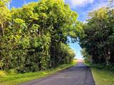  Pohoiki Kalapana Rd - Photo 16