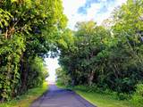  Pohoiki Kalapana Rd - Photo 17
