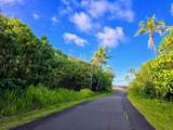  Pohoiki Kalapana Rd - Photo 18