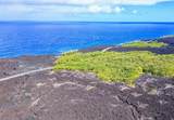  Pohoiki Kalapana Rd - Photo 4