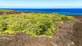  Pohoiki Kalapana Rd - Photo 5