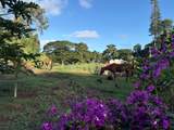  Kanaele Rd - Photo 7