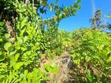 15-849 Lemiwai Rd - Photo 11