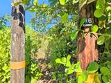 15-849 Lemiwai Rd - Photo 13