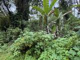  Pikake Rd - Photo 11