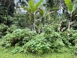  Pikake Rd - Photo 5