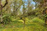 11-1863 Alapua St - Photo 25