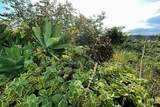 12-5169 Rd - Photo 26