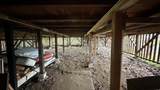 2501 Kinoole St - Photo 26