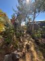92-9247 Catamaran Lane - Photo 1