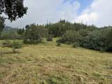  Ahiahi Rd - Photo 5