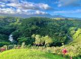 5370-A Kahiliholo Rd - Photo 8