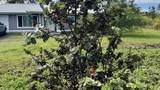 15-1824 6TH AVE - Photo 2