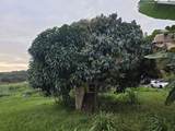 6469-L Kawaihau Rd - Photo 12