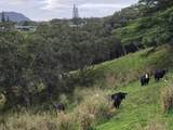 6469-L Kawaihau Rd - Photo 7