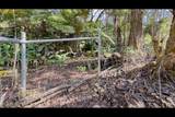  Haunani Rd - Photo 19