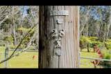  Haunani Rd - Photo 25