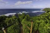 5451 Ka Haku Rd - Photo 14