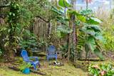 16-355 Melekule St - Photo 6