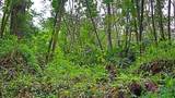  Ginger Rd - Photo 1