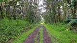  Ginger Rd - Photo 2