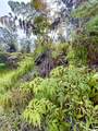  Volcano Rd - Photo 2