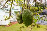 16-2064 Pikake Dr - Photo 28