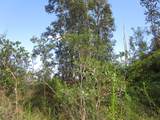  Road 9 (Koloa Maoli) - Photo 3