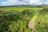  Pohoiki Rd - Photo 8