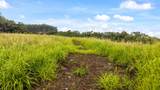 34-1219 Hawaii Belt Rd - Photo 12