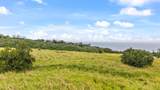 34-1219 Hawaii Belt Rd - Photo 16