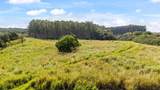 34-1219 Hawaii Belt Rd - Photo 18
