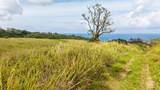 34-1219 Hawaii Belt Rd - Photo 9