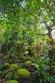 14-3385 Paradise Rd - Photo 30