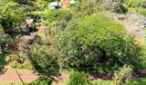  Silversword Ct - Photo 16