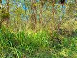  Silversword Ct - Photo 20