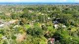  Silversword Ct - Photo 22