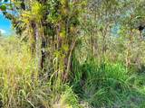  Silversword Ct - Photo 7
