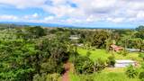  Silversword Ct - Photo 9