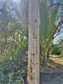  38TH AVE - Photo 13