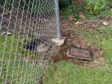  Opihi St - Photo 7